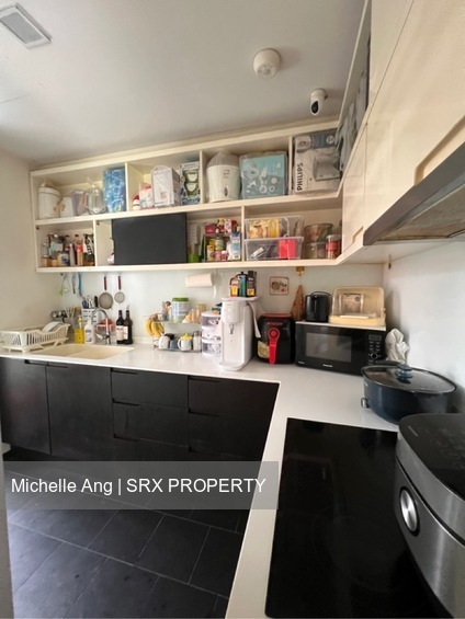 Village @ Pasir Panjang (D5), Condominium #451925771